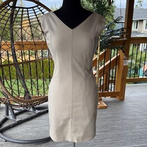 Club Monaco | Fitted V-Neck Dress